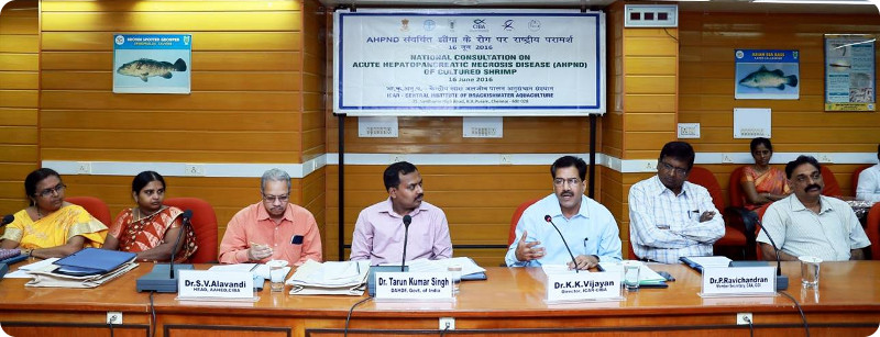 National Consultation on Early Mortality Syndrome (EMS) or Acute Hepatopancreatic Necrosis Disease (AHPND) of Cultured Shrimps, 16-06-2016
