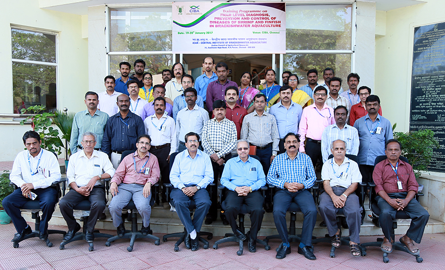 Training Programme for Export Inspection Agency (EIA) officials on “Field level diagnosis, prevention and control of diseases of shrimp and finfish in brackishwater aquaculture” by Aquatic Animal Health and Environment Division at CIBA-Chennai - 19th & 20th January 2017