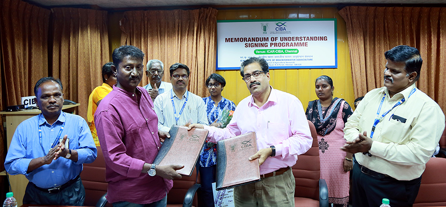 ICAR- CIBA Signs MoU with Private Hatchery Partner for Transfer of Seabass Seed Production Technology