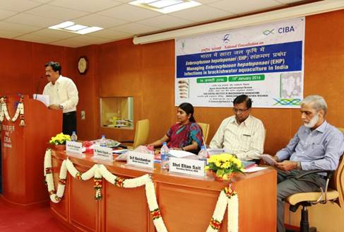 National Consultation on the Management of the emerging pathogen, Enterocytozoon hepatopenaei (EHP), and related issues in Indian Shrimp aquaculture sector, Central Institute of Brackishwater Aquaculture (CIBA), Chennai - 19th January 2016