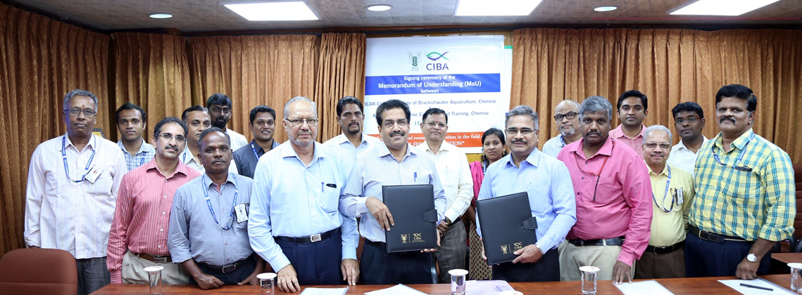 ICAR CIBA signed MOU with Academy of Maritime Education and Training (AMET), Deemed University, Chennai for Research Collaboration on the Frontiers of Live Feed Production for aquaculture