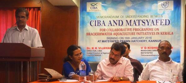 Sustainable Brackishwater Aquaculture initiatives in Kerala: ICAR-CIBA signed Memorandum of Understanding for the collaborative programmes with Matsyafed Kerala - 16th January 2016