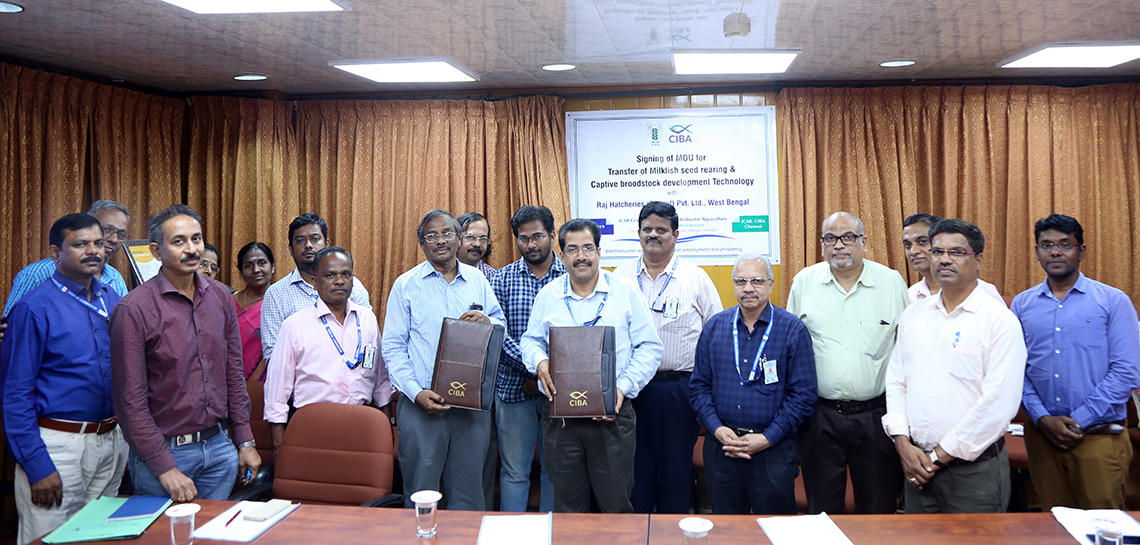 ICAR-Central Institute of Brackishwater Aquaculture (ICAR-CIBA) signed MoU with M/s. Raj Hatcheries, Pvt Ltd. West Bengal for the technology alliance on milkfish hatchery the first of its kind