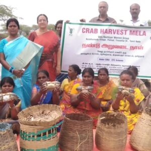 Diversification of livelihoods among coastal tribal groups and Scheduled Caste families in Pulicat lake region of Tamil Nadu