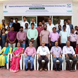 ICAR-CIBA held a hands-on training programme on Recent Advances in Diagnosis and Management of Enterocytozoon hepatopenaei (EHP) in Brackishwater Shrimp Aquaculture