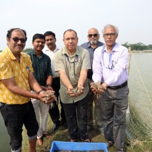 ICAR-Central Institute of Brackishwater Aquaculture, Chennai organized a harvest mela of Penaeus vannamei, reared in an aquamimicry based farming system on November 16, 2022 at Pattipulam, Kancheepuram district, Tamil Nadu