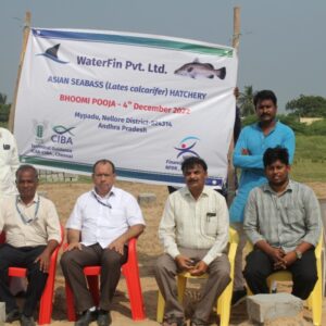 New Seabass fish hatchery with ICAR-CIBA technical support is being established at Mypadu, Nellore District, Andhra Pradesh