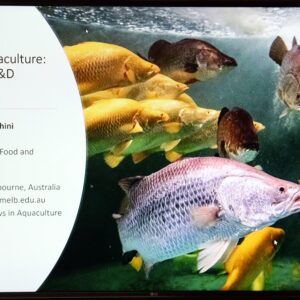 Prof.Giovanni Turchini, University of Melbourne delivers a talk on ‘Aquaculture in Australia’ Under ICAR-CIBA and SCAFi Aquaculture without borders lecture series