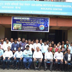 ICAR-Central Institute of Brackishwater Aquaculture (ICAR-CIBA), Chennai and ICAR-Central Institute of Fisheries Education (ICAR-CIFE) jointly organized a Certificate Course on Shrimp Crop Insurance and Loss Assessment at ICAR CIFE Kolkata during 5-9th August 2024