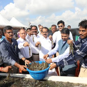 Shri George Kurian, Honourable Union Minister of State for Fisheries, Ministry of Fisheries, Animal Husbandry and Dairying and Minority Affairs, Government of India witnessed the harvest of ICAR-CIBA’s Super-Intensive Precision Shrimp Farming Technology and launched Shrimp Crop Insurance product at CIBA on 8th October, 2024